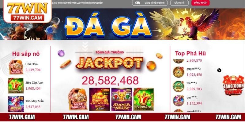 Các sảnh đá gà tại 77WIN hút khách