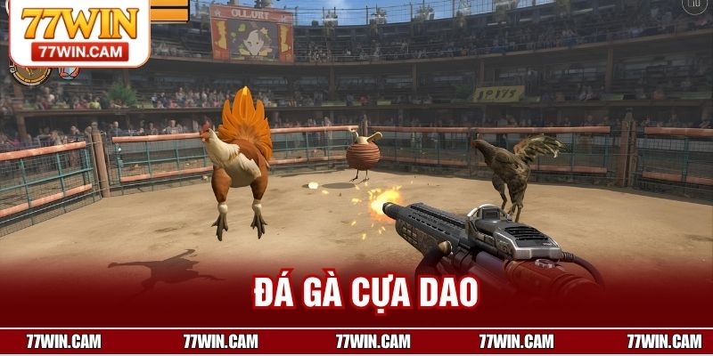 Đá Gà Cựa Dao - Môn Thể Thao Truyền Thống Của Người Chơi Việt