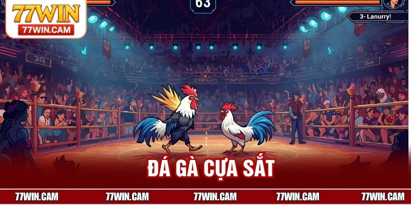 Đá Gà Cựa Sắt – Trò Chơi Kịch Tính, Minh Bạch Và Hấp Dẫn