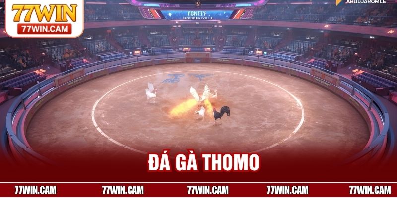 Đá Gà Thomo – Sân Chơi Đỉnh Cao Cho Dân Đam Mê Chiến Kê